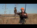5 States 5 Programs ONE MISSION - Ep 4 Kansas