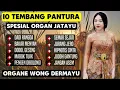 Download Lagu 10 TEMBANG PANTURA - SPESIAL ORGAN JATAYU,ORGANE WONG DERMAYU - CIREBONAN