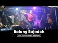Download Lagu RADHA LINA - BALANG BAJODOH (Shogy Maimy Sheilla) REMIX TERBARU 2023 - LIVE DESA JANGKANG