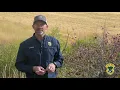 2022 Upland Game Bird Forecast