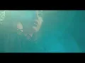ASPARAGUSproject - Vibration