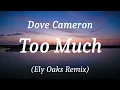 Dove Cameron - Too Much (Ely Oaks Remix), (lyrics)