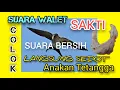 Download Lagu SUARA PANGGIL BURUNG WALET ASLI DARI ALAM/suara bersih