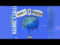 Download Lagu Kazmoz - What I Know (ft. Calel) (Prod. LCS)