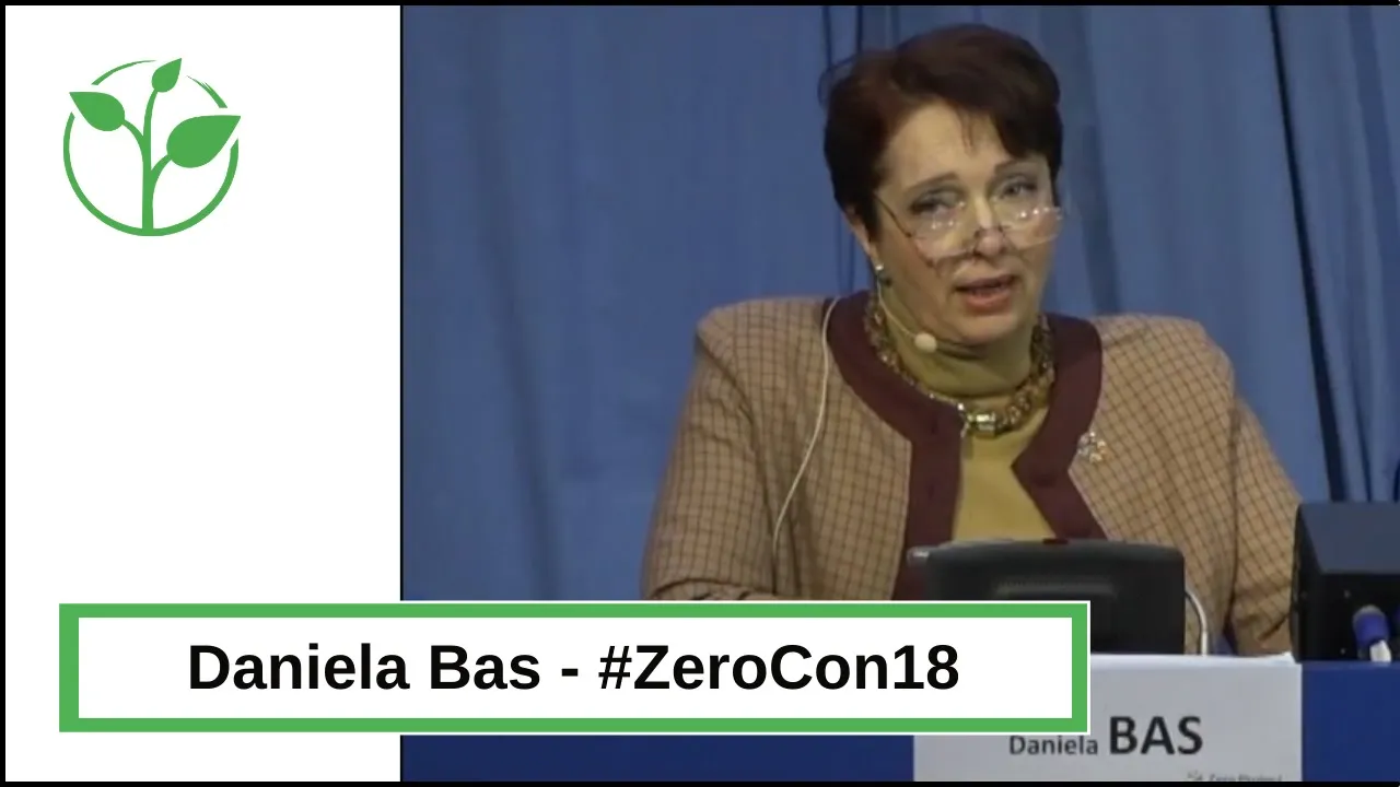 Daniela Bas of UN DESA on accessibility as an equalizer.