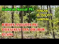 Download Lagu RIBUAN ANGGOTA PKI DIEKSEKUSI dan DIKUBUR DALAM HUTAN JATI INI