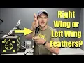Left Wing or Right Wing Feathers What is the difference choose the BEST one for your Arrows