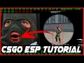 D3D9 CSGO ESP Tutorial 1 - EndScene Hook Tutorial