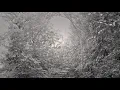 Advent Sorrow - Skin to Suffer In