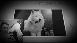 يوم ماهفتح الدفاتر مش هخلي لحد خاطر 