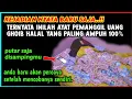 Download Lagu اَللّٰهُ اَكْبَرُ اللٌٰهُمَّ اَهِلِّهُ عَلَيْنَا بِالْاَمْنِ وَ الْاِيْمَانِ وَ السَّلَامِ
