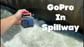 What Will My GoPro Find Inside a Spillway Gar Catfish and More
