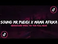 Download Lagu SOUND MR PUDIDI X MAMA AFRIKA VIRAL TIK TOK TERBARU 2022