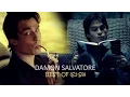 Damon Salvatore The Best of HUMOR S1-S8