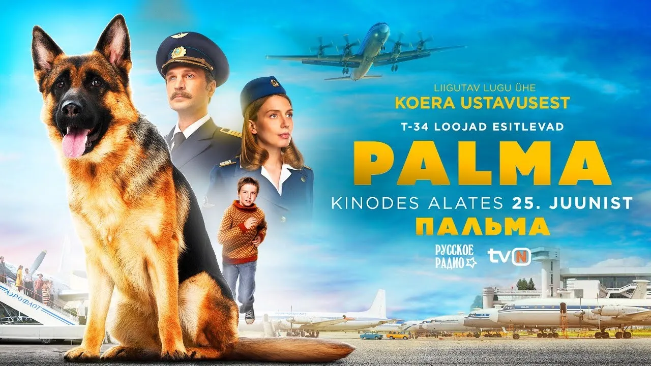 პალმა filmebi qartulad ფილმები ქართულად