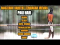 Lagu MASTERAN MURAI GACOR TEMBAKAN DAHSYAT 100% AMPUH MEMANCING EMOSI LAWAN AGAR IKUT BONGKAR ISIAN