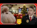 The Great Reindeer Runaway Odd Squad Christmas STEM Shows for Kids