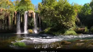 آيات قصيره من القرآن الكريم إلا بذكر الله تطمئن القلوب 