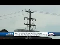 Unitil says 11 of its power outages are squirrel-related