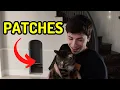 George Meets Patches For The First Time