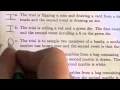 IB Conditional Probability Example 1