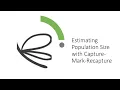 Capture Mark Recapture Method for Population Size Estimate