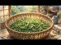 #Relax And Meditate Here: Part-1