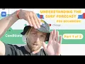 Understanding the Surf Forecast for BEGINNERS What SIZE waves and which WIND do I want Part 1 of 2