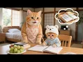 Download Lagu Gemberkatje worstelt met wiskunde 😿, Hartverwarmende oplossing van Mama Kat 💖 Grappige kattenvideo's