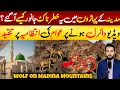 Download Lagu Madina Munawra Viral Video of 2 Strange Animals on Mountains - Trend on Saudi Social Media | KSA