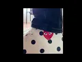 CDG x Converse Polka dot high on feet