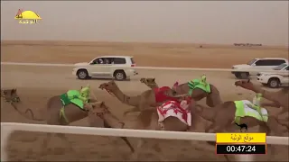 الشوط 9 العبيه خلفان بخيت فطيس المنصوري شارة الصندوق السبت 2018 05 12 غياثي فطامين 