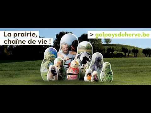 YouTube video player - YouTube thumbnail
