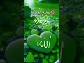 Lagu Surah tahrim# Urdu translation# trending# viral video#duet #quotes