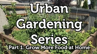 grow more food at home the urban gardening series part 1