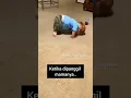 Lagu Bayi Belajar Merangkak Tapi Kok Jadi... 🤣🤣