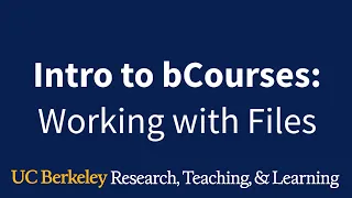 Working with Files in bCourses