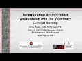 Incorporating Antimicrobial Stewardship into the Veterinary Clinical Setting