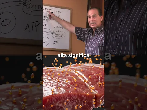 Creatinia Alta En Sangre