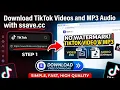 Download TikTok MP3 in High Quality ssave cc