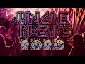Download Lagu HAPPY NEW JUNGLE BREAKS 2020 ~ Nonstop Breakbeat Jungle Dutch Mixtape