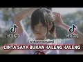 Lagu DJ CINTA SAYA BUKAN KALENG KALENG || REMIX  VIRAL TIKTOK FULL BASS