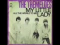 Download Lagu The Tremeloes - My little lady - 1968