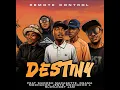 Destiny-(Jento mchacho X Osama mchacho X Remote control X Swoosh & Slow jiggy jam)
