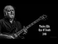 Tinsley Ellis - Kiss Of Death (2013)