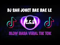 DJ SAH JOGET BAE BAE LE SLOW BASS VIRAL FYP TIKTOK