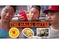 HALAL GUYS CART 53RD 6TH NYC Chicken and Rice Fung Bros