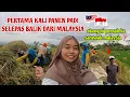 Lagu PERNAH KE SARAWAK MALAYSIA❓️CAKAP MELAYU DENGAN ORANG KAMPUNG DISAWAH JAWA
