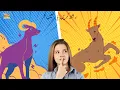 Aries and Capricorn Love Compatibility Capricorn and Aries Relationship Urdu Hindi Astrology