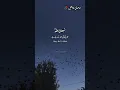 Download Lagu Zikir: Subhanallah Walhamdulillah Wala Ilaha Illallah Wallahu Akbar Walahaula #shorts